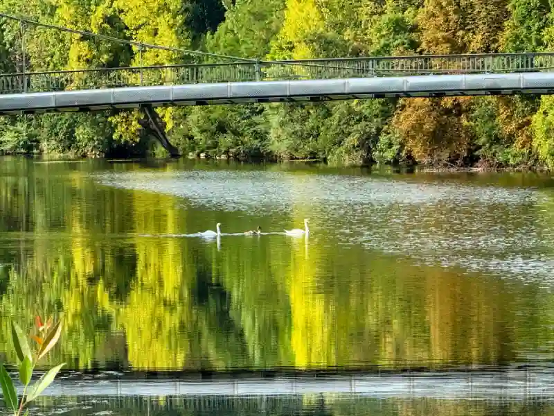 Salutogenesis River of Life